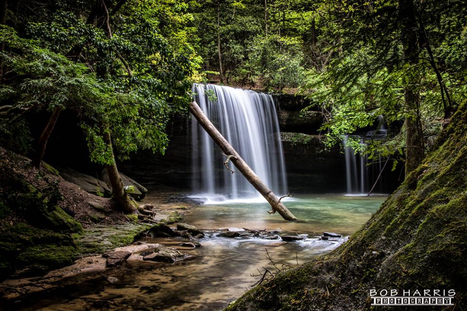 Sipsey Wilderness - A Visit Of The Falls. #3 | Shutterbug